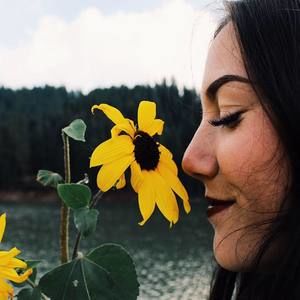 Meet your Posher, Safire